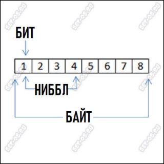 Как читать байты в файле