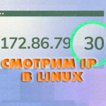 Как узнать IP адрес в Linux (Ubuntu, CentOS, Debian)