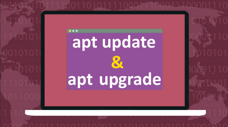 Apt Update Apt Upgrade 