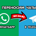 Как перенести чаты из Whatsapp в Telegram