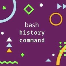 bash-history